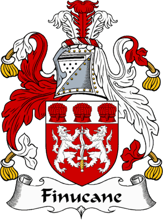 Finucane Clan Coat of Arms