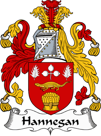 Hannegan Clan Coat of Arms