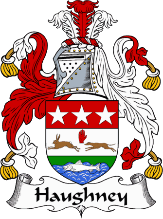 Haughney Clan Coat of Arms