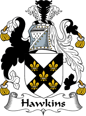 Hawkins Clan Coat of Arms
