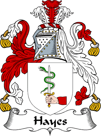 Hayes Clan Coat of Arms
