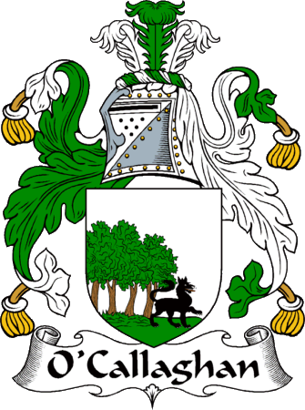 O'Callaghan Clan Coat of Arms