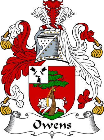 Owens Clan Coat of Arms