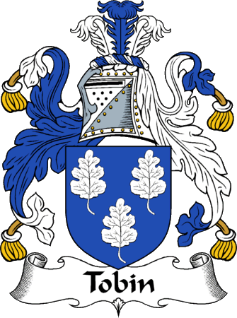Tobin Clan Coat of Arms