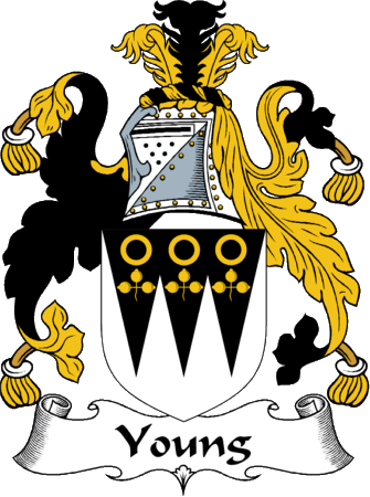 Young Clan Coat of Arms